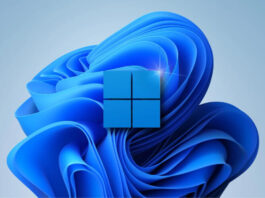Windows 11 Theme