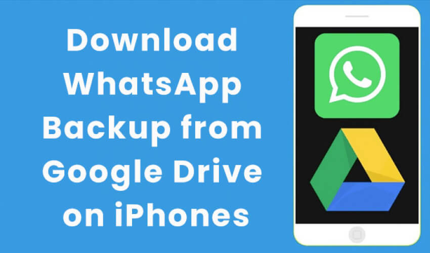 Whatsapp and Google Drive Logo Displayed on iPhone Screen