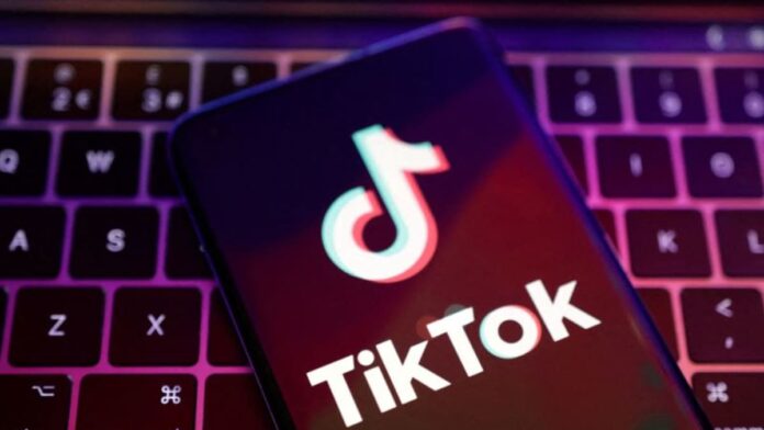 TikTok to get banned in France work phone of civil servants