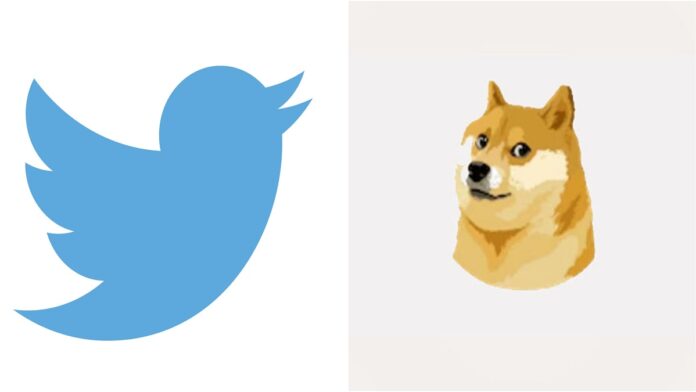 Twitter Changed Logo Everything You Need to Know About