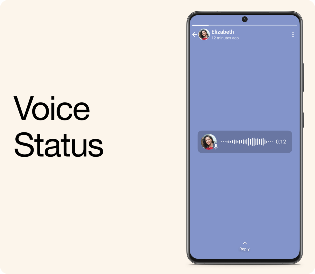 Voice status on whatsapp